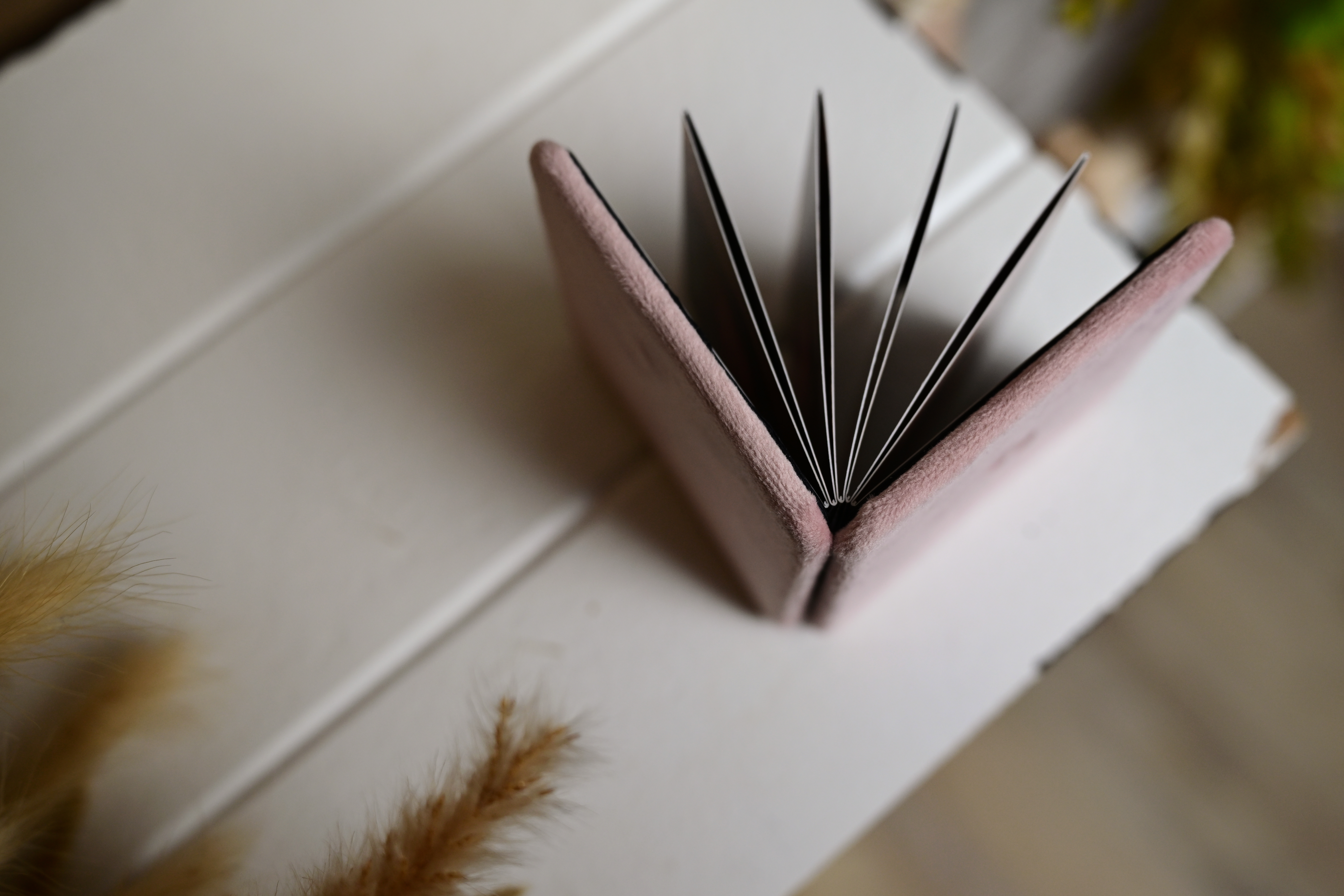 Leporello mit Samtumschlag oben