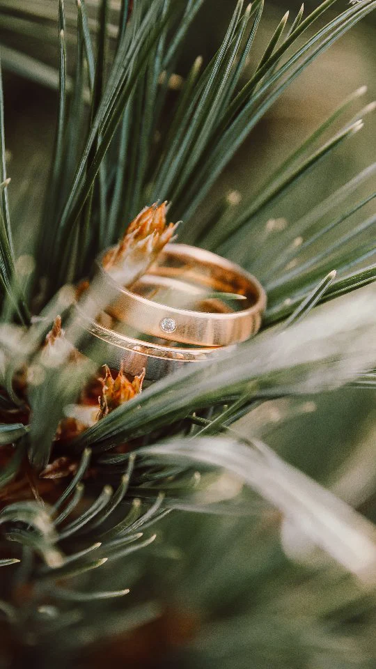 Diese Hochzeitsdetails dürfen auf keinen Fall fehlen – vor allem nicht eure EHERINGE!
Sie sind DAS Symbol eurer Liebe – und gehören unbedingt auf eure Hochzeitsfotos!
Denn was bleibt, sind die Erinnerungen… und die kleinen, bedeutungsvollen Details wie eure Ringe. 💍Warum die Ringe beim Hochzeitsshooting nicht fehlen dürfen:
✨ Sie erzählen eure Geschichte
✨ Sie stehen für euer JA – für immer
✨ Und sie geben euren Detailfotos echten emotionalen Wert💍 Mein Tipp:
Legt die Ringe zum Getting Ready bereit – zusammen mit Papeterie, Schmuck & Parfum.
So können ganz besondere Flatlay-Aufnahmen entstehen – ästhetisch & bedeutungsvoll.Was ist euch bei euren Eheringen am wichtigsten?
Kommentiert gern – ich bin gespannt!⬇️Für mehr Tipps rund um eure Hochzeitsfotos: Speichern & Folgen nicht vergessen!Herzlich,
Sibylle von forever in love Fotografie
♡♡♡#hochzeitsdetails #eheringe #weddingflatlay #hochzeitsfotografie #verlobt2025 #heirateninsachsen #hochzeitsfotograf #authentischehochzeitsfotos #gettingreadymoments #detailaufnahmenhochzeit #weddinginspo #fotografchemnitz #foreverinlovefotografie